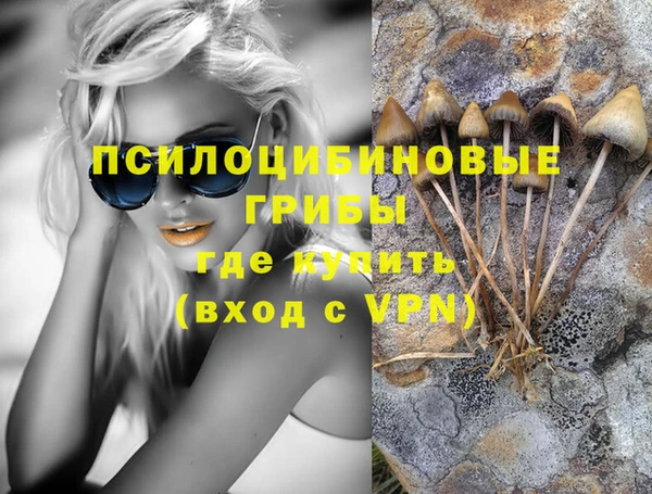 mix Пересвет
